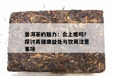 普洱茶的魅力：会上瘾吗？探讨其健康益处与饮用注意事项