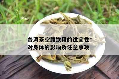 普洱茶空腹饮用的适宜性：对身体的影响及注意事项