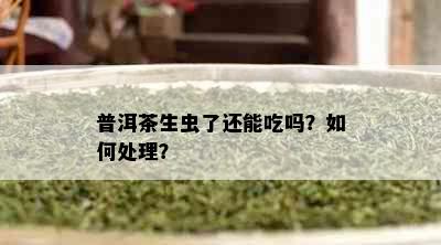 普洱茶生虫了还能吃吗？如何处理？