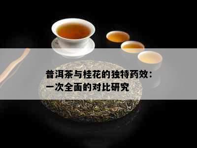 普洱茶与桂花的独特效：一次全面的对比研究