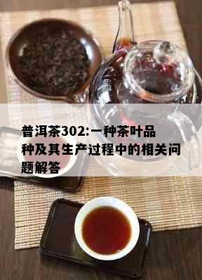 普洱茶302:一种茶叶品种及其生产过程中的相关问题解答