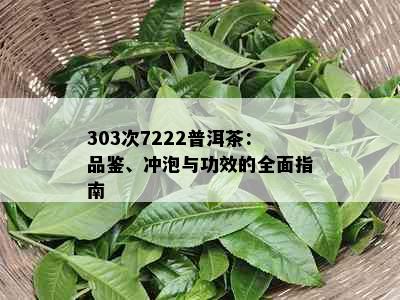 303次7222普洱茶：品鉴、冲泡与功效的全面指南