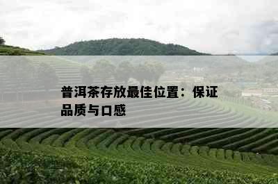 普洱茶存放更佳位置：保证品质与口感