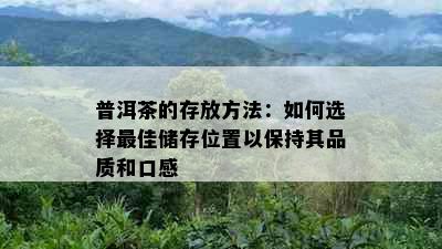 普洱茶的存放方法：如何选择更佳储存位置以保持其品质和口感