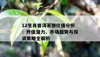 12生肖普洱茶饼价值分析：升值潜力、市场趋势与投资策略全解析