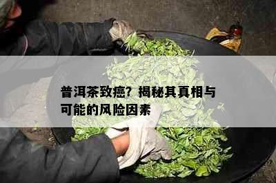 普洱茶致癌？揭秘其真相与可能的风险因素