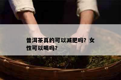 普洱茶真的可以减肥吗？女性可以喝吗？