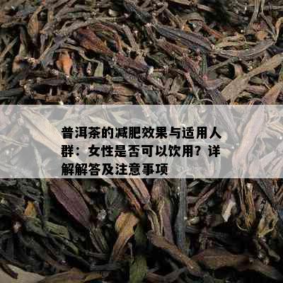 普洱茶的减肥效果与适用人群：女性是否可以饮用？详解解答及注意事项