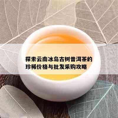 探索云南冰岛古树普洱茶的珍稀价格与批发采购攻略