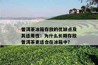 普洱茶冰箱存放的优缺点及其适用性：为什么长期存放普洱茶更适合在冰箱中？