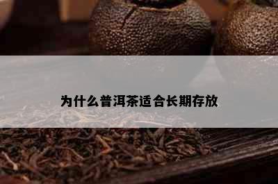 为什么普洱茶适合长期存放