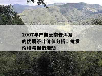 2007年产自云南普洱茶的优质茶叶价位分析，批发价格与促销活动