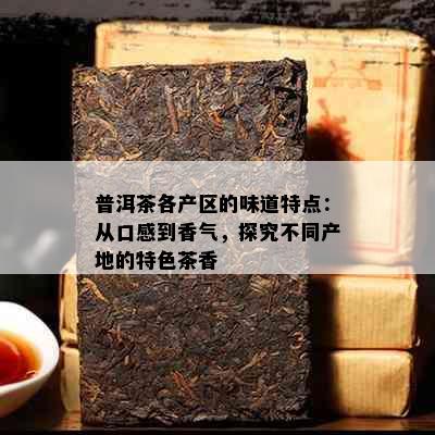 普洱茶各产区的味道特点：从口感到香气，探究不同产地的特色茶香