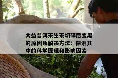 大益普洱茶生茶切碎后变黑的原因及解决方法：探索其中的科学原理和影响因素