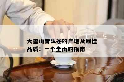 大雪山普洱茶的产地及更佳品质：一个全面的指南