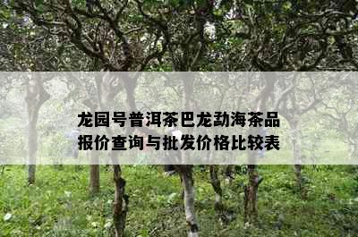 龙园号普洱茶巴龙勐海茶品报价查询与批发价格比较表