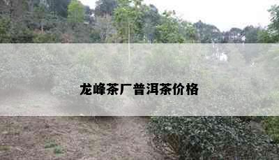 龙峰茶厂普洱茶价格