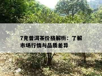 7克普洱茶价格解析：了解市场行情与品质差异