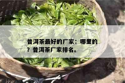 普洱茶更好的厂家：哪里的？普洱茶厂家排名。