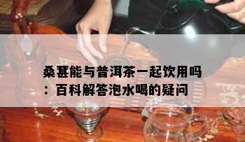 桑葚能与普洱茶一起饮用吗：百科解答泡水喝的疑问