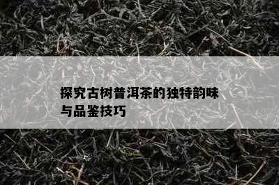 探究古树普洱茶的独特韵味与品鉴技巧