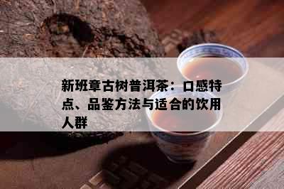 新班章古树普洱茶：口感特点、品鉴方法与适合的饮用人群