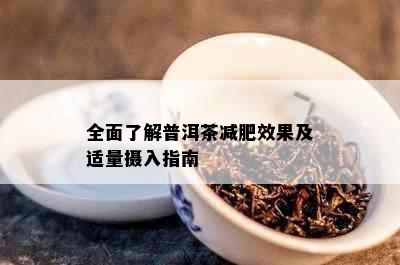 全面了解普洱茶减肥效果及适量摄入指南