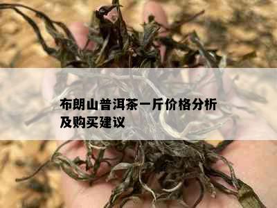 布朗山普洱茶一斤价格分析及购买建议