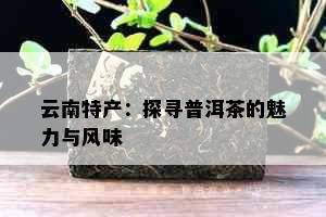 云南特产：探寻普洱茶的魅力与风味