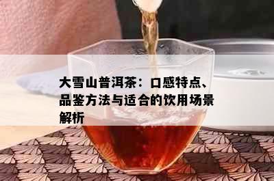 大雪山普洱茶：口感特点、品鉴方法与适合的饮用场景解析