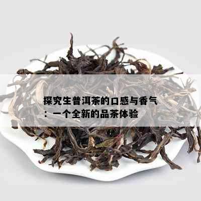 探究生普洱茶的口感与香气：一个全新的品茶体验