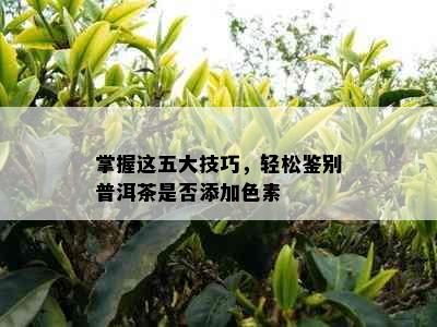 掌握这五大技巧，轻松鉴别普洱茶是否添加色素