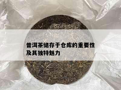 普洱茶储存于仓库的重要性及其独特魅力