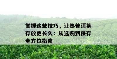 掌握这些技巧，让熟普洱茶存放更长久：从选购到保存全方位指南