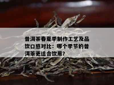 普洱茶春夏季制作工艺及品饮口感对比：哪个季节的普洱茶更适合饮用？