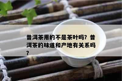 普洱茶用的不是茶叶吗？普洱茶的味道和产地有关系吗？