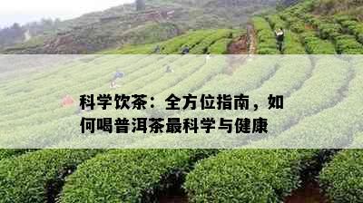 科学饮茶：全方位指南，如何喝普洱茶最科学与健康