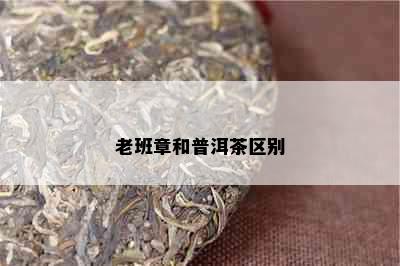 老班章和普洱茶区别