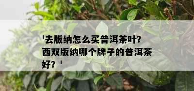 '去版纳怎么买普洱茶叶？西双版纳哪个牌子的普洱茶好？'