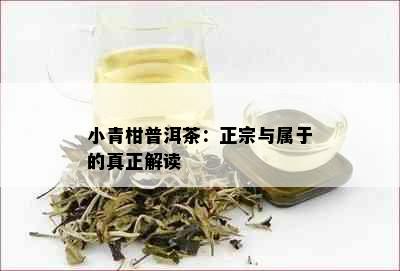 小青柑普洱茶：正宗与属于的真正解读