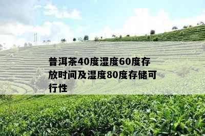 普洱茶40度湿度60度存放时间及湿度80度存储可行性