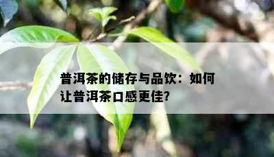 普洱茶的储存与品饮：如何让普洱茶口感更佳？