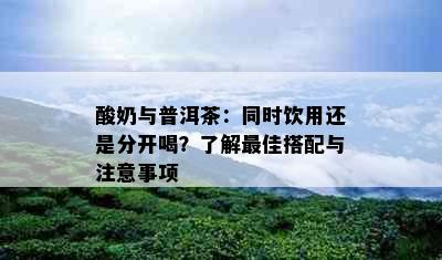 酸奶与普洱茶：同时饮用还是分开喝？了解更佳搭配与注意事项