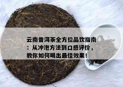 云南普洱茶全方位品饮指南：从冲泡方法到口感评价，教你如何喝出更佳效果！