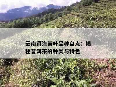 云南洱海茶叶品种盘点：揭秘普洱茶的种类与特色