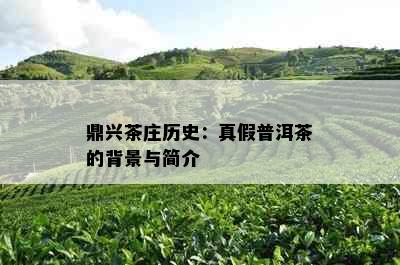 鼎兴茶庄历史：真假普洱茶的背景与简介