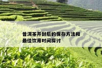 普洱茶开封后的保存方法和更佳饮用时间探讨