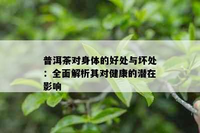 普洱茶对身体的好处与坏处：全面解析其对健康的潜在影响