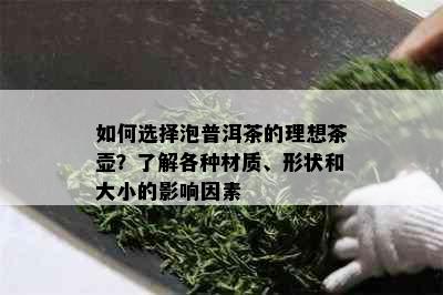 如何选择泡普洱茶的理想茶壶？了解各种材质、形状和大小的影响因素