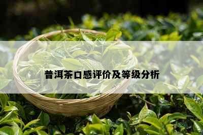 普洱茶口感评价及等级分析